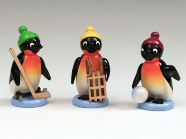Pinguine Freizeitsportler