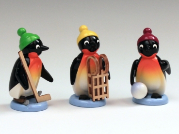 Pinguine Freizeitsportler